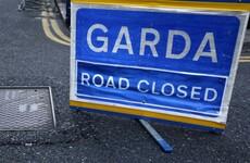 Woman dies after being struck by van in Tipperary