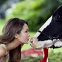 Nothing is denting the world's appetite for Irish dairy