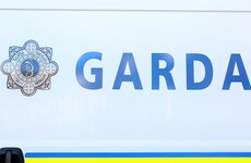 Man arrested over murder of Dubliner whose body was found in Meath field