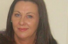 New witness appeal after suspected drink-driver kills Dublin woman
