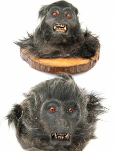 London man sentenced for having bestiality images and selling monkey heads on eBay