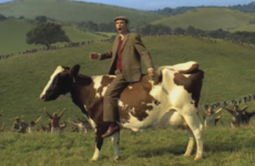 10 ad jingles Irish 90s kids will never be able to forget