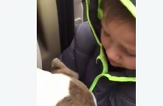 This little boy reunited with his lost dog is breaking hearts all over Facebook