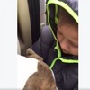 This little boy reunited with his lost dog is breaking hearts all over Facebook