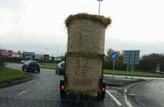 17 things that could only happen in the Irish countryside