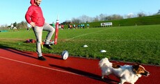 Know Your Sport? Take our weekly quiz
