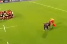 Supporter gets cleaned out while attempting to tackle mascot at Leinster schools match