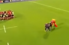 Supporter gets cleaned out while attempting to tackle mascot at Leinster schools match