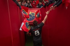 CJ Stander: 'The physicality and passion for the jersey came through for us'
