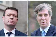 Fine Gael minister defends photo of Alan Kelly 'canvassing' with FAI chief John Delaney