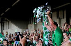 Limerick's 2013 Munster title-winning captain retires from inter-county hurling