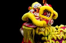 7 reasons Irish people need to start celebrating Chinese New Year