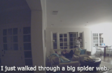 Watch an entire family lose their minds over a poor unfortunate spider