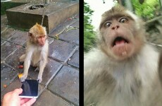 10 pictures that sum up accidentally opening your front-facing camera