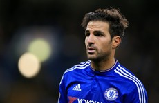 Chelsea sack steward after Fabregas 'snake' jibe