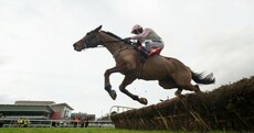 Faugheen makes good horses look very average with sublime Champion Hurdle win