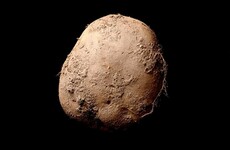 Businessman pays €1m for photograph of Irish potato