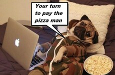 15 essential facts of life for incredibly lazy couples