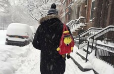 11 wonderful sights the blizzard brought to the US