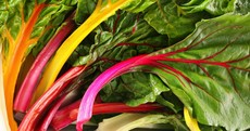 Chard is highly nutritious and should be a popular addition to your healthy January diet