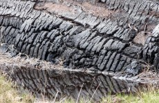 Government to offer free turf to cutters on protected bogs