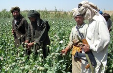 Irish drug dealers networking with criminal gangs in Colombia, Bolivia, Afghanistan