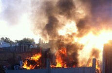 Police and protesters clash as evictions begin at Dale Farm