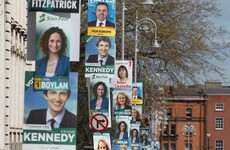 Wicklow village convinces politicians to keep the place a poster-free zone during the election