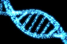 Britain approves gene-editing experiments as opponents warn of 'designer babies'