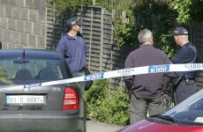 Ombudsman rules that Garda shooting in Lusk was 'lawful'