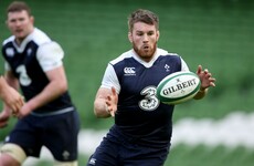 Sean O'Brien: CJ Stander settling in as a fresh, strong voice in Ireland camp