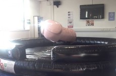 IT Carlow installed a giant rodeo penis this week for a very good reason