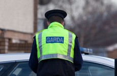 "Very, very nasty" man who tried to bite a Garda and said "I have the virus" jailed