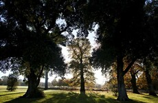 Home sweet home! Ireland choose Fota Island for Euro 2016 training camp