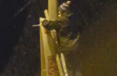 Youths cut down Labour, Fianna Fáil and Green candidate posters in Dún Laoghaire