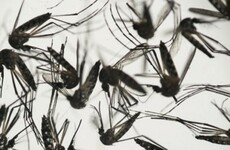 How many cases of the Zika virus have been confirmed in Ireland? It's the week in numbers