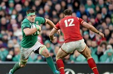 CJ Stander and the rest of The42's Six Nations Team of the Week