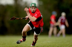Clare and Limerick seniors hit the net as LIT dump UCC out of Fitzgibbon Cup