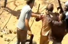 Watch: new video and details of moments after Gaddafi's capture emerge