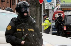 "You'd think we got 55 new gardaí" - senior officers aren't impressed with the new armed unit