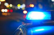 Woman hospitalised after being assaulted by man impersonating garda at roadside robbery