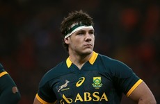 Ulster announce the signing of South African flanker Marcell Coetzee
