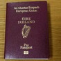'Home to what?': Emigrants want a say in who runs the show while they're living abroad