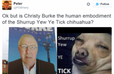 9 brilliant Irish responses to the scourge of election posters