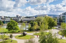 UCD investigation dismisses 'revenge porn' allegations made by college newspaper