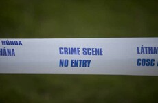 Gardaí find body of missing 21-year-old