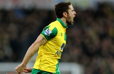 Irish Canaries on song as Hoolahan adds to Brady belter
