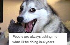 11 jokes for anyone who loves bad jokes