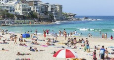 Shark detection buoys are being trialled off Australia's Bondi beach