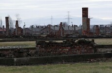 Right-wing Polish minister wants jail for anyone who calls Nazi death camps 'Polish'